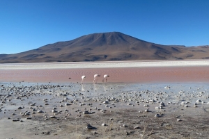 Laguna Colorada